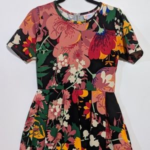 LuLaRoe Amelia Dress